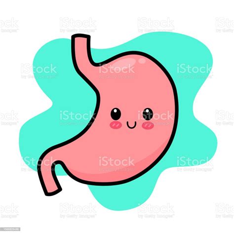 Stomach Character Stock Illustration Download Image Now Abdomen