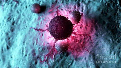 Illustration Of White Blood Cells Attacking A Cancer Cell Photograph By