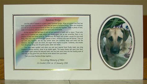 We have had so many happy years, you wouldn' t want me to suffer so, when the time comes please let me go. Personalized Pet Memorials - Pet Loss & Pet Care Ebooks ...