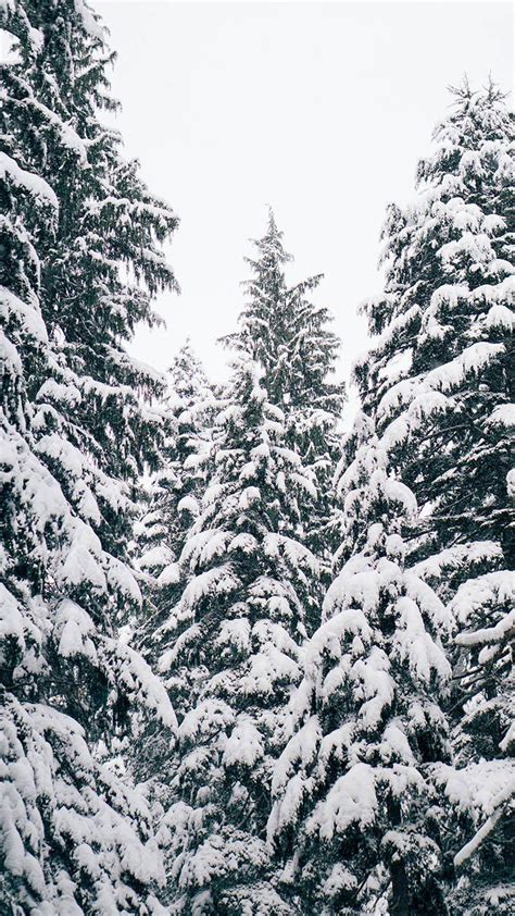 Aesthetic Snow Wallpapers - Wallpaper Cave