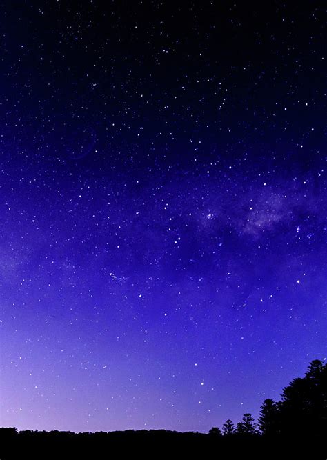 Night Sky And Milky Way With Silhouettes Photograph By Merrillie Redden Fine Art America