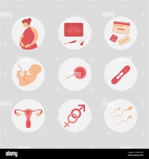 Woman Fertility Icon Set Obstetrics Signs Collection Pregnancy