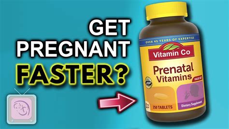 Vitamins To Take To Get Pregnant Faster Thesuperhealthyfood