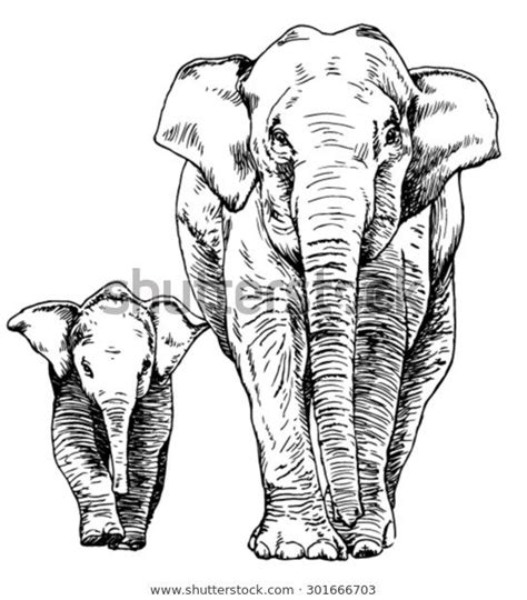 Elefant Tegninger Til Print Tegninger Dyr