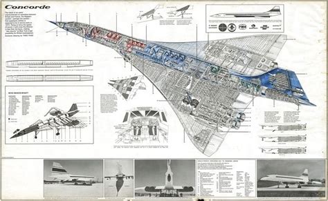 Concorde Cutaway Aviation Graphics Pinterest Concorde