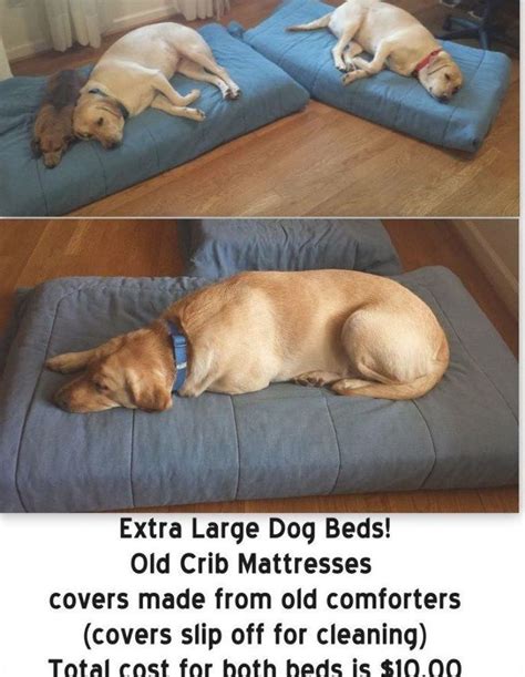 The Best Dog Bed You Wont Believe It But Its True 100 Things 2
