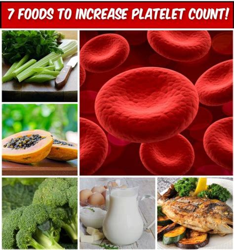 7 Foods To Increase Platelet Count Platelets Low Platelets Counting