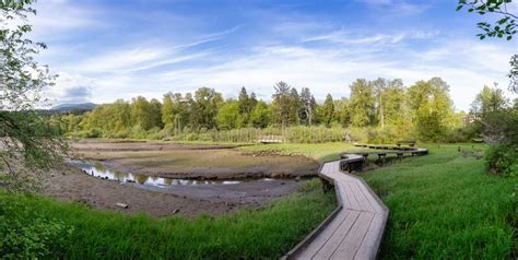 Shoreline Trail Port Moody Greater Vancouver British Columbia