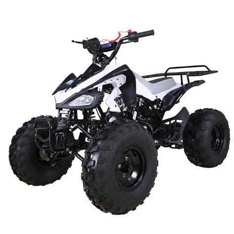 Tao Tao 125 Atv Ata 125 Cheetah Taotao Cheetah 125cc Online