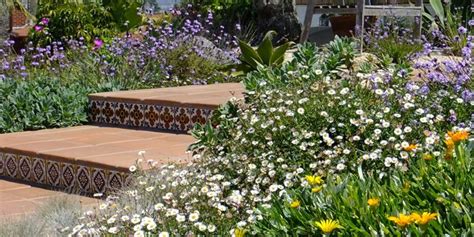 Drought Tolerant Landscape Design In San Diego Outdoor Space Indoor