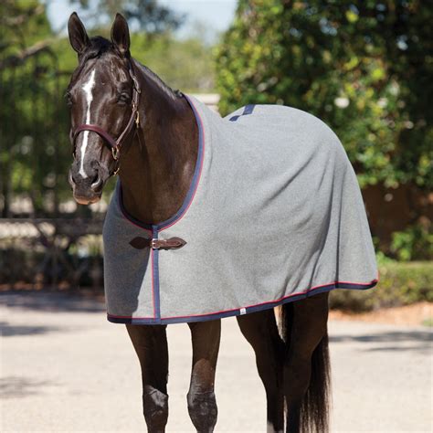 The Clothes Horse Custom Wool Dress Sheet