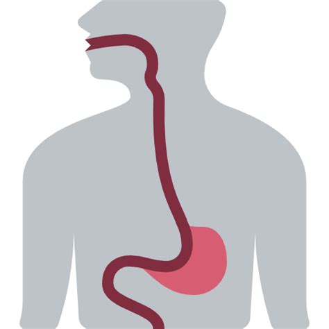 Causes Of Esophageal Spasms Dr Datta Ram U Explains