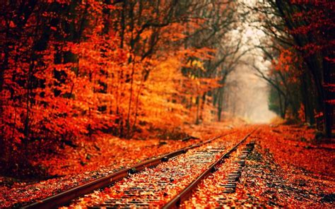 Autumn Train Track Wallpapers Wallpaper Cave