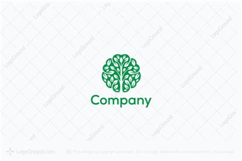 Share More Than 135 Mind Tree Logo Super Hot Vn