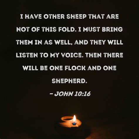 John 1016 I Have Other Sheep That Are Not Of This Fold I Must Bring