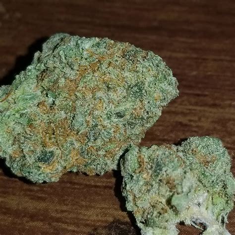 It felt like i was in the movie with the actors as i had my eyes glued to the screen the whole time. Strain Review: Lemon Head by Dark Horse Genetics - The ...