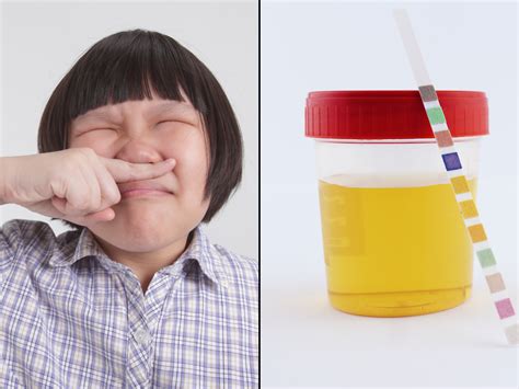 3 Types Of Urine Smells Indicate These Risky Health Problems Bigyackcom