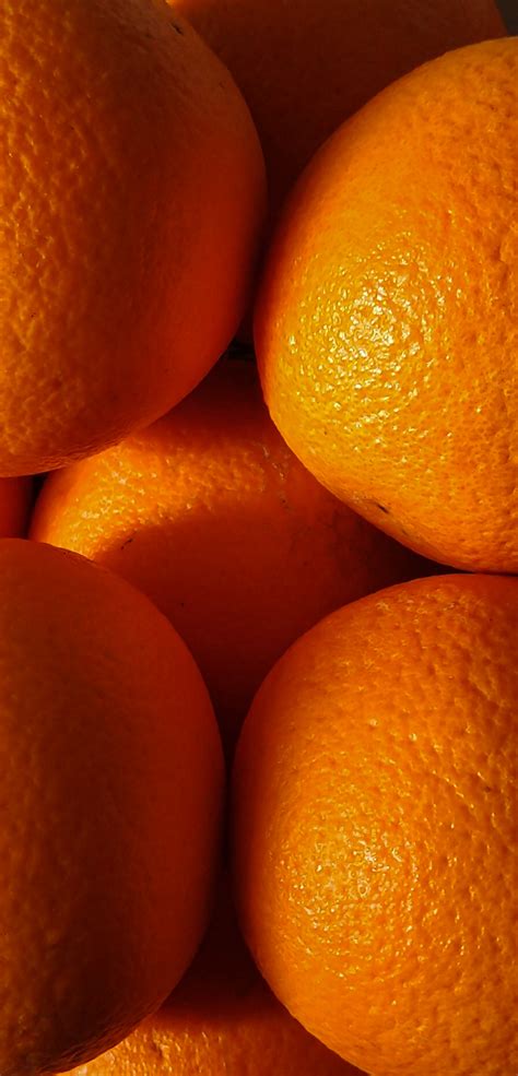 Free Images Oranges Citrus Natural Foods Rangpur Tangelo