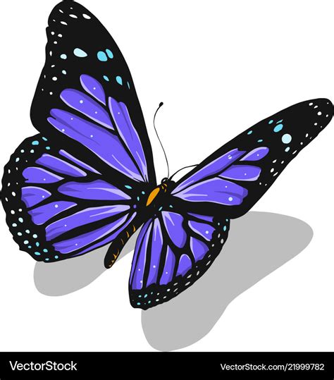 247 Vector Butterfly Svg Free Svg Png Eps Dxf File