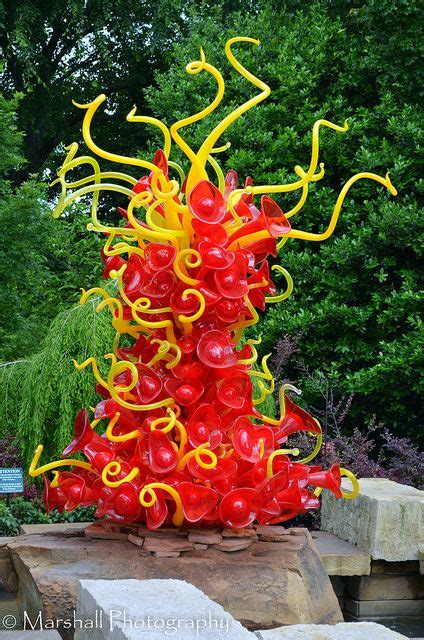 Chihuly At The Dallas Arboretum Chihuly Dale Chihuly Glass Artists