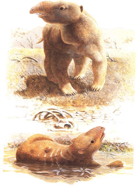 Palaeoblog Australian Megafauna Extinctions