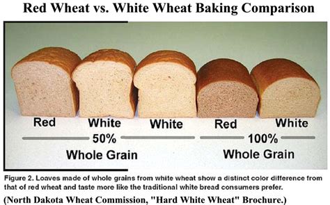Bread consisting of 80% whole barley flour has a glycemic index of 95, compared to a 57 just like whole wheat bread, you may also be surprised to learn which other healthy foods are actually harming. Preparedness Group Website - Recipes - Wheat
