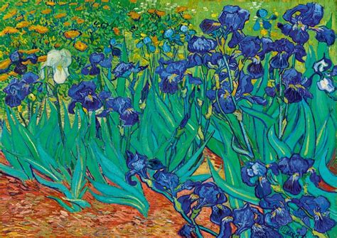 Puzzle Del Cuadro LOS LIRIOS De Van Gogh 1000 Piezas Bluebird 60006