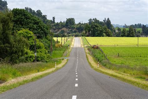 Rural Scenery Along The Manawatu Scenic Route In New Zealand Stock