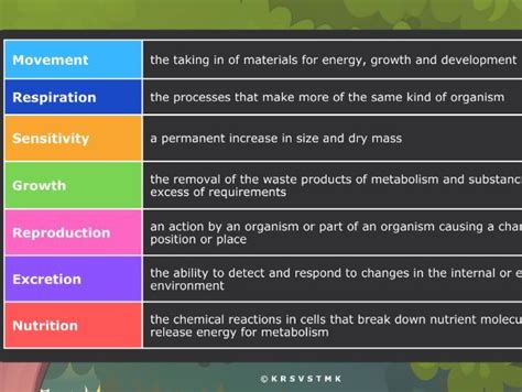 Characteristics Of Living Organisms Powerpoint Teaching Resources
