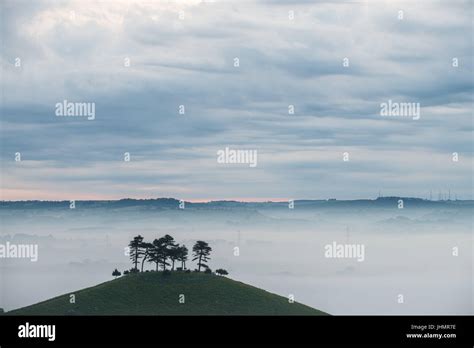 Iconic Trees Hi Res Stock Photography And Images Alamy