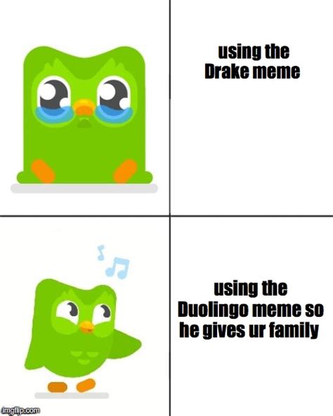 Meme Memes Duolingo 317938021290201 By Localgrownmemes Vrogue