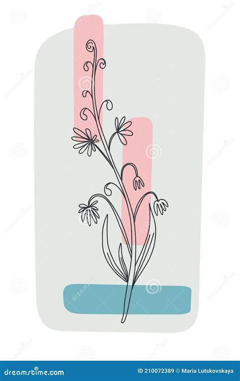 Flower Minimal Poster Hand Drawn Line Wild Flowers And Leaves With Abstract Shape Stock Vector