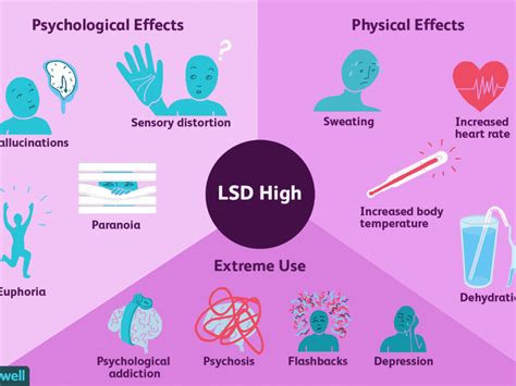 The Effects Of Lsd On The Brain The Keynote