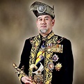 穆罕默德五世（马来西亚第15任最高元首）_百度百科