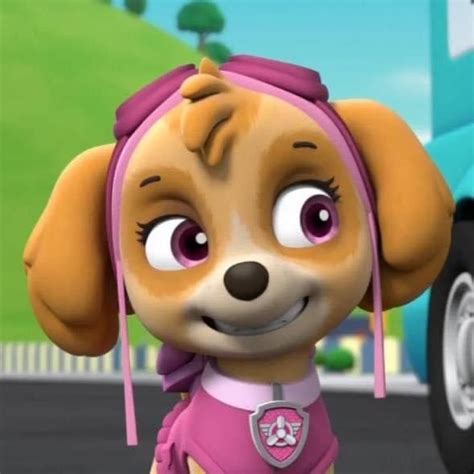 Pin By Gasket On Paw Patrol In 2021 Paw Patrol Pups Marshall Paw