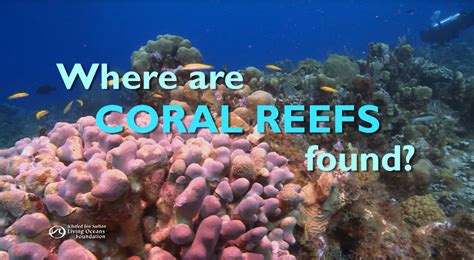 Where Are Coral Reefs Found Pbs Learningmedia
