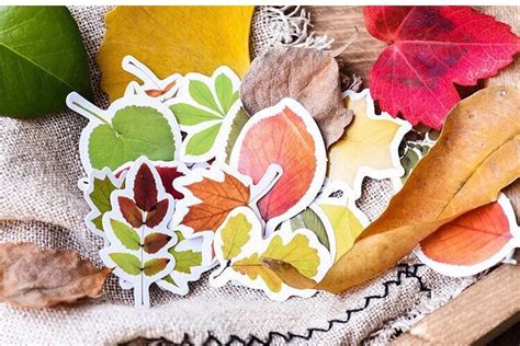 Autumn Leaf Stickers Plant Stickers Pack Cute Fall Leaves Etsy