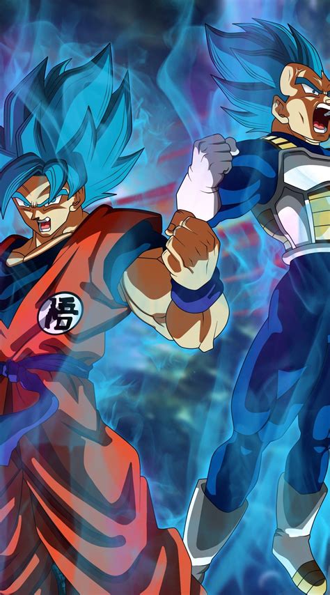 Goku And Vegeta Super Saiyan Blue Dragon Ball Super Decoração De Festa