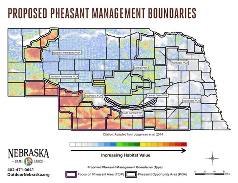 Nebraskas Mega Plan Spend 26 Million On Pheasant Habitat