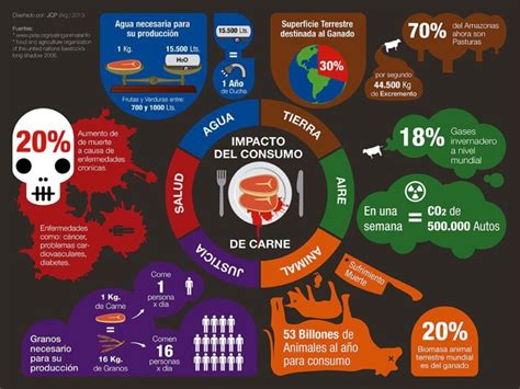 ¿cuál Es El Problema Del Consumo De Carne Veganplace