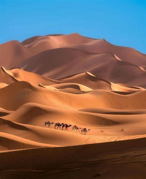 Sahara Desert Morocco Desert Tour Desert Photography Desert Aesthetic