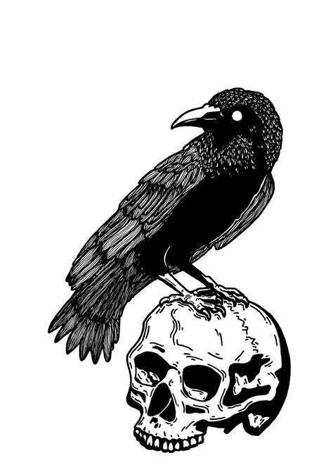 Raven On Skull Art Print Poster Etsy Australia Skull Art Print