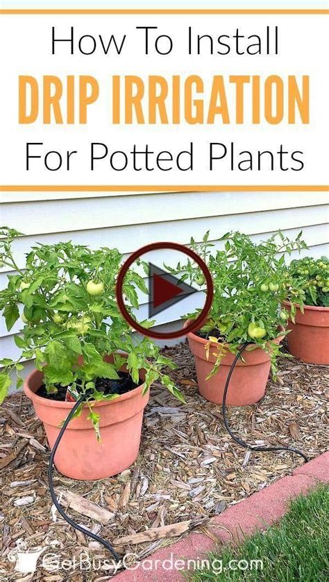 How To Install A Diy Drip Irrigation System For Potted Plants In 2020