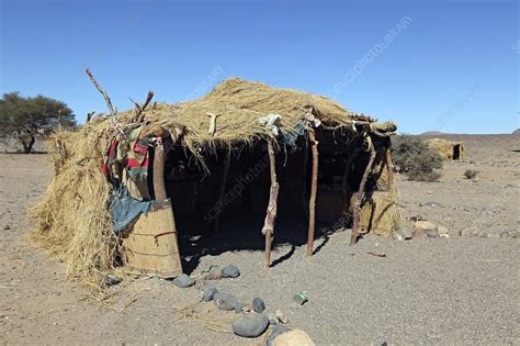 Desert Shelter Stock Image C0199375 Science Photo Library