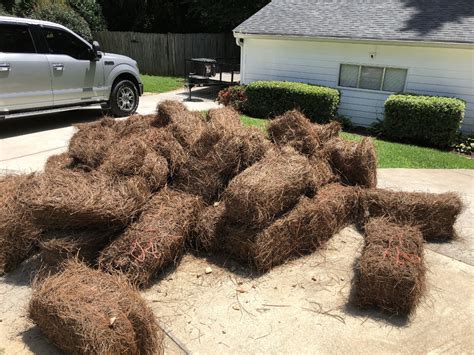 Pine Straw Mulch Delivery Near Me Knocked Up Vlog Photogallery