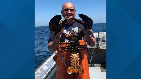 Twenty Five Pound 100 Year Old Lobster Caught Off Maine Coast