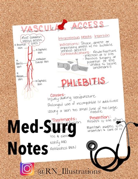 Vascular Access Med Surg Nursing Notes 5 Pages Etsy