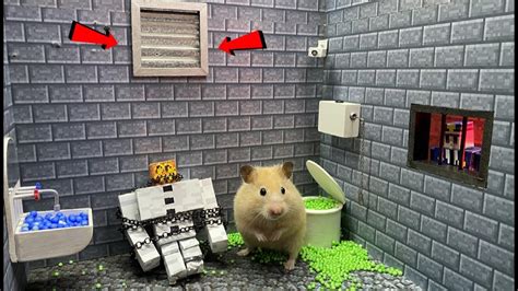 🐹hamster Escapes From The Minecraft Prison Maze🐹obstacle Course For