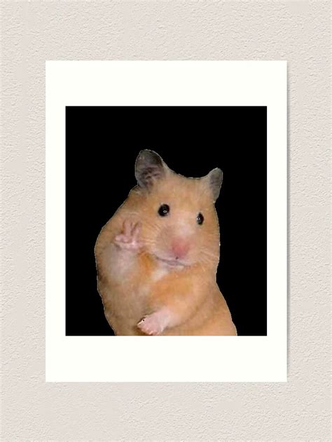 Peace Sign Hamster Meme Art Print For Sale By Aidallnnon Redbubble