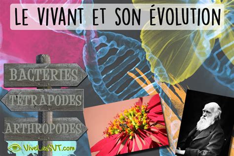 Le Vivant Et Son évolution Cycle 4 Vive Les Svt Les Sciences De